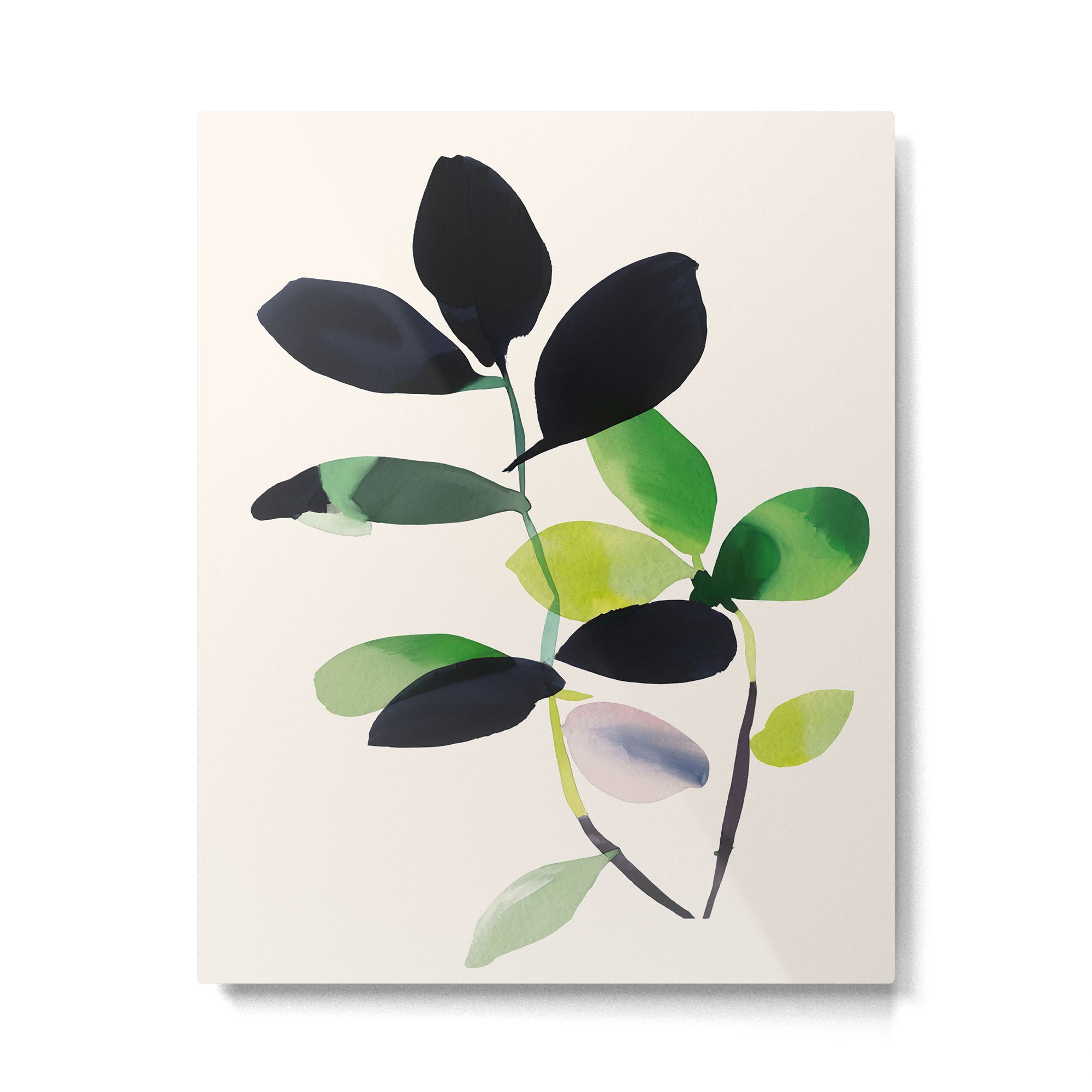Botanic Form III Metal Print Gallery Image 4