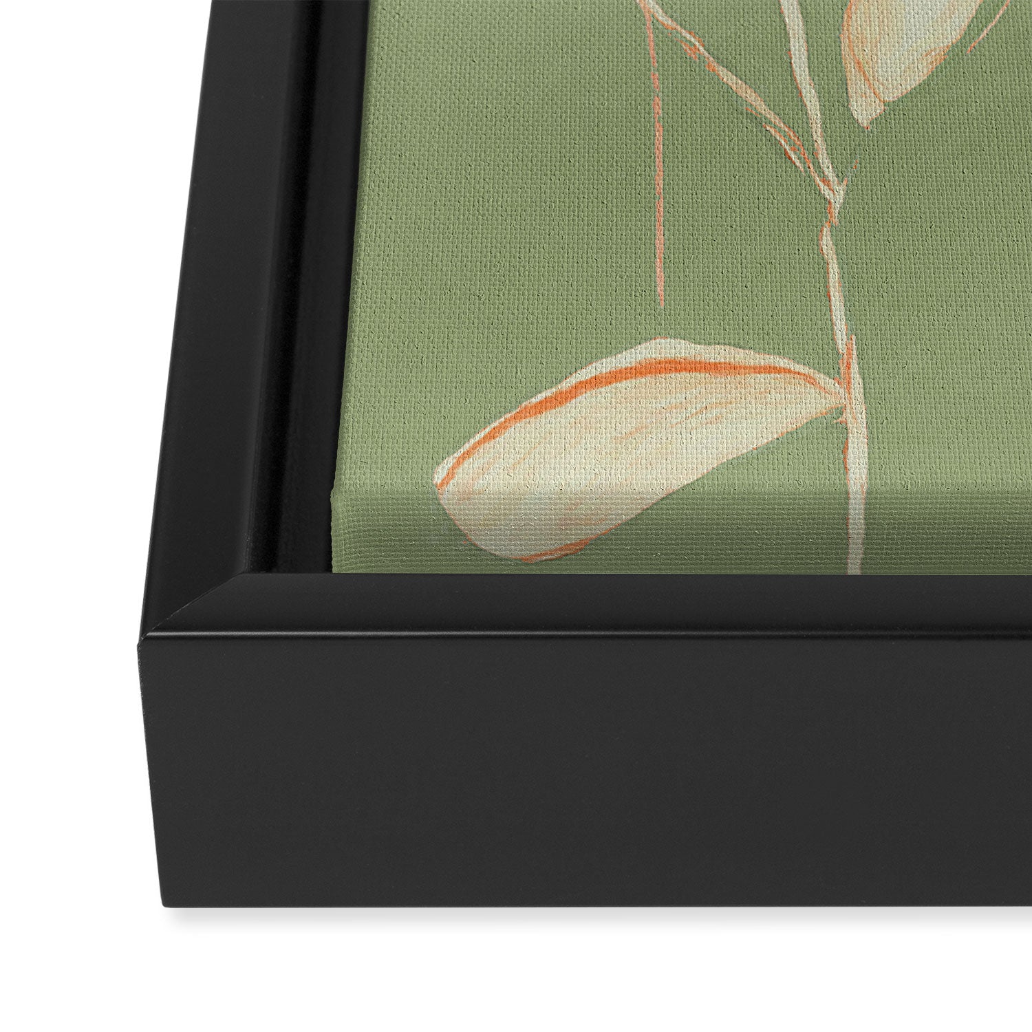 Butterflies 2 Framed Canvas Print Gallery Image 3