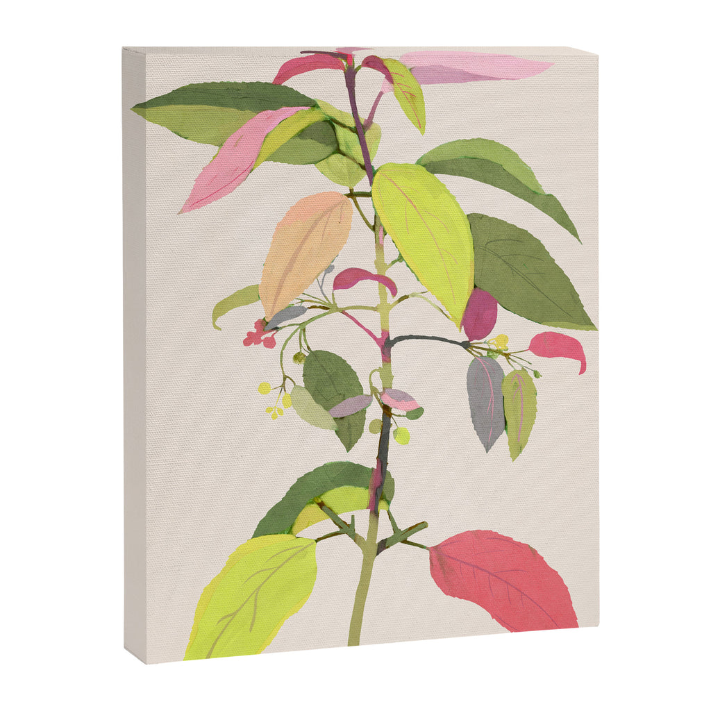 Colorful Plant Canvas Print Gallery Image 6