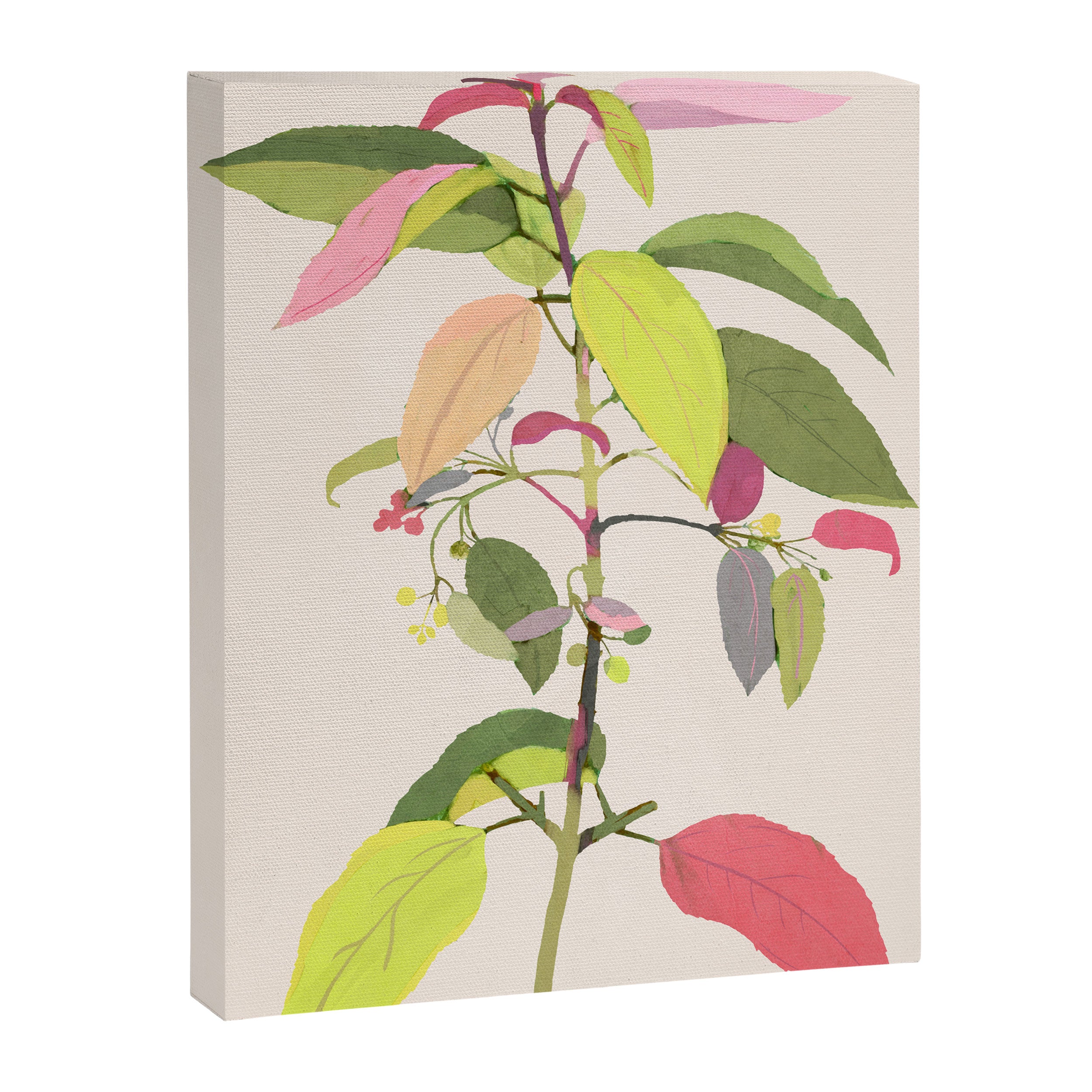 Colorful Plant Canvas Print Gallery Image 6
