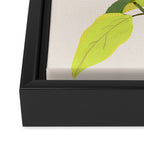 Colorful Plant Framed Canvas Print Gallery Image 3