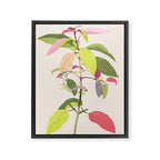Colorful Plant Framed Canvas Print Gallery Image 6
