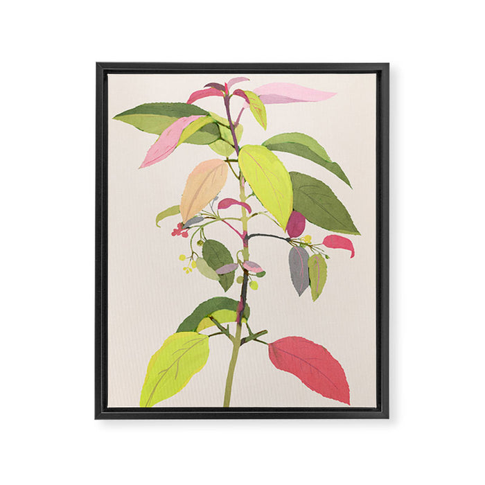 Colorful Plant Framed Canvas Print Gallery Image 1