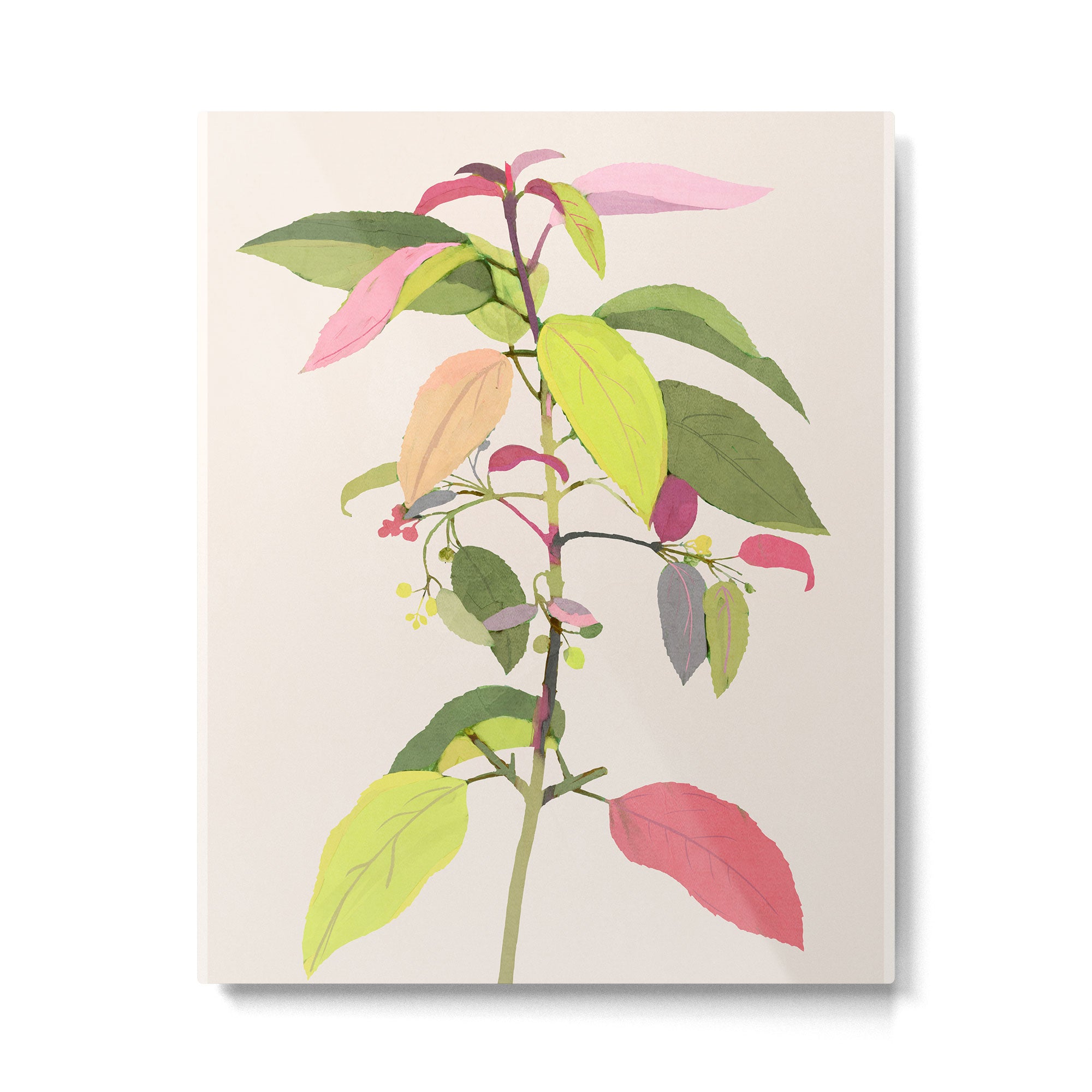 Colorful Plant Metal Print Gallery Image 4