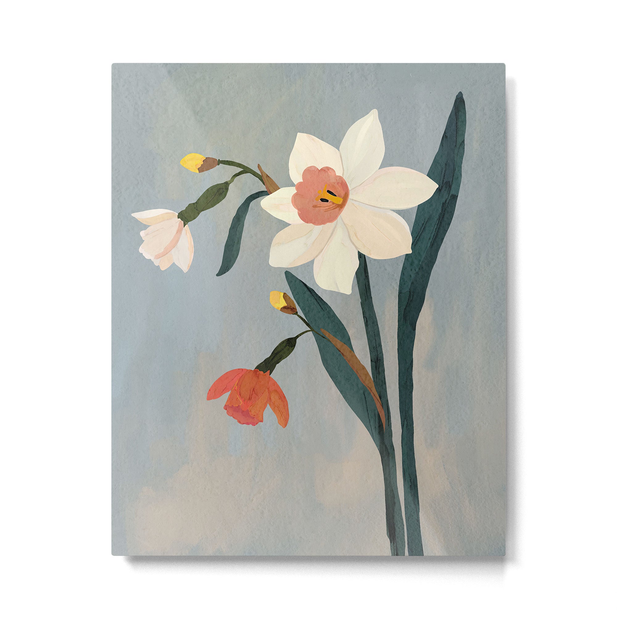 Daffodils Metal Print Gallery Image 4