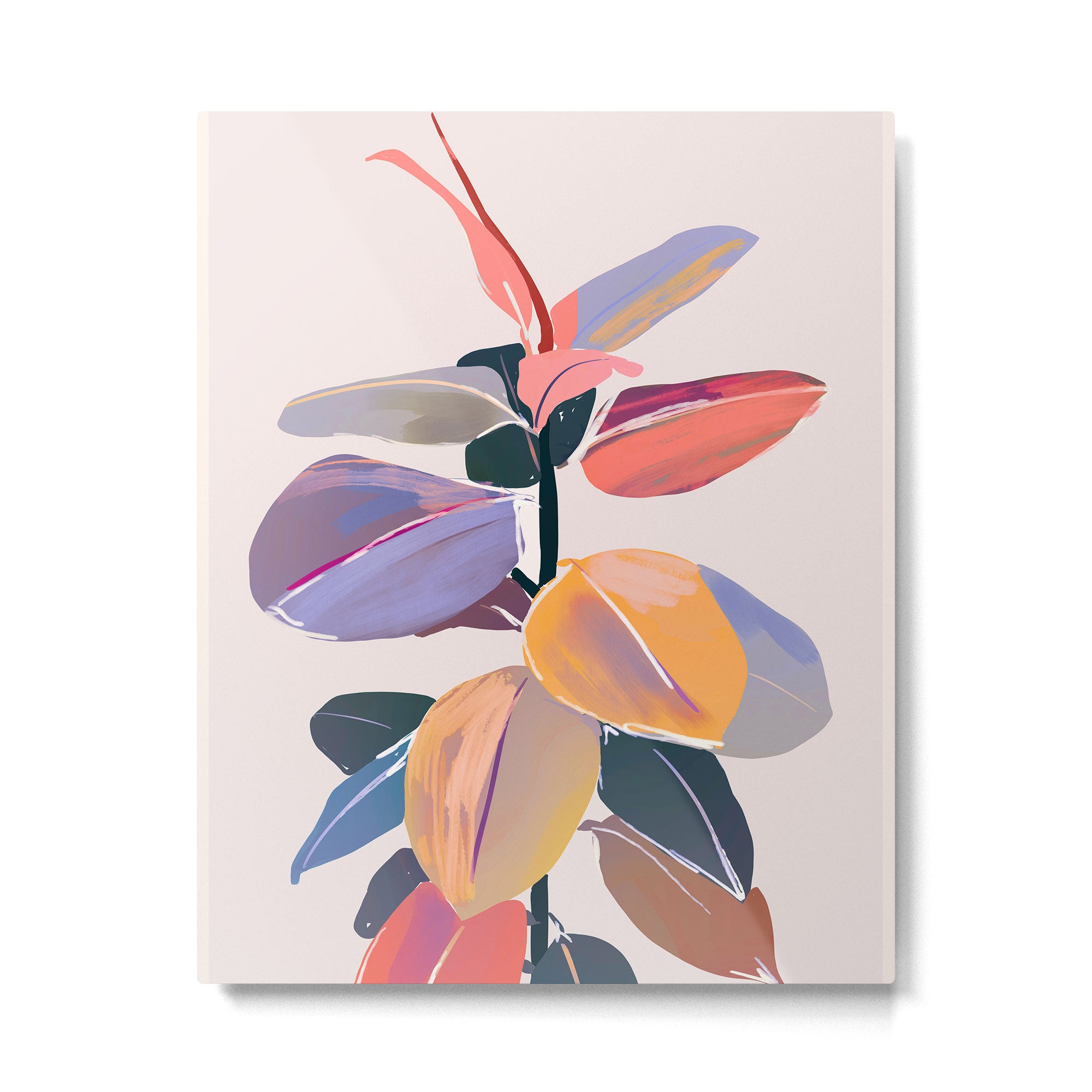 House Plant 5 Metal Print Gallery Image 4