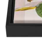 House Plant 6 Framed Canvas Print Gallery Image 3