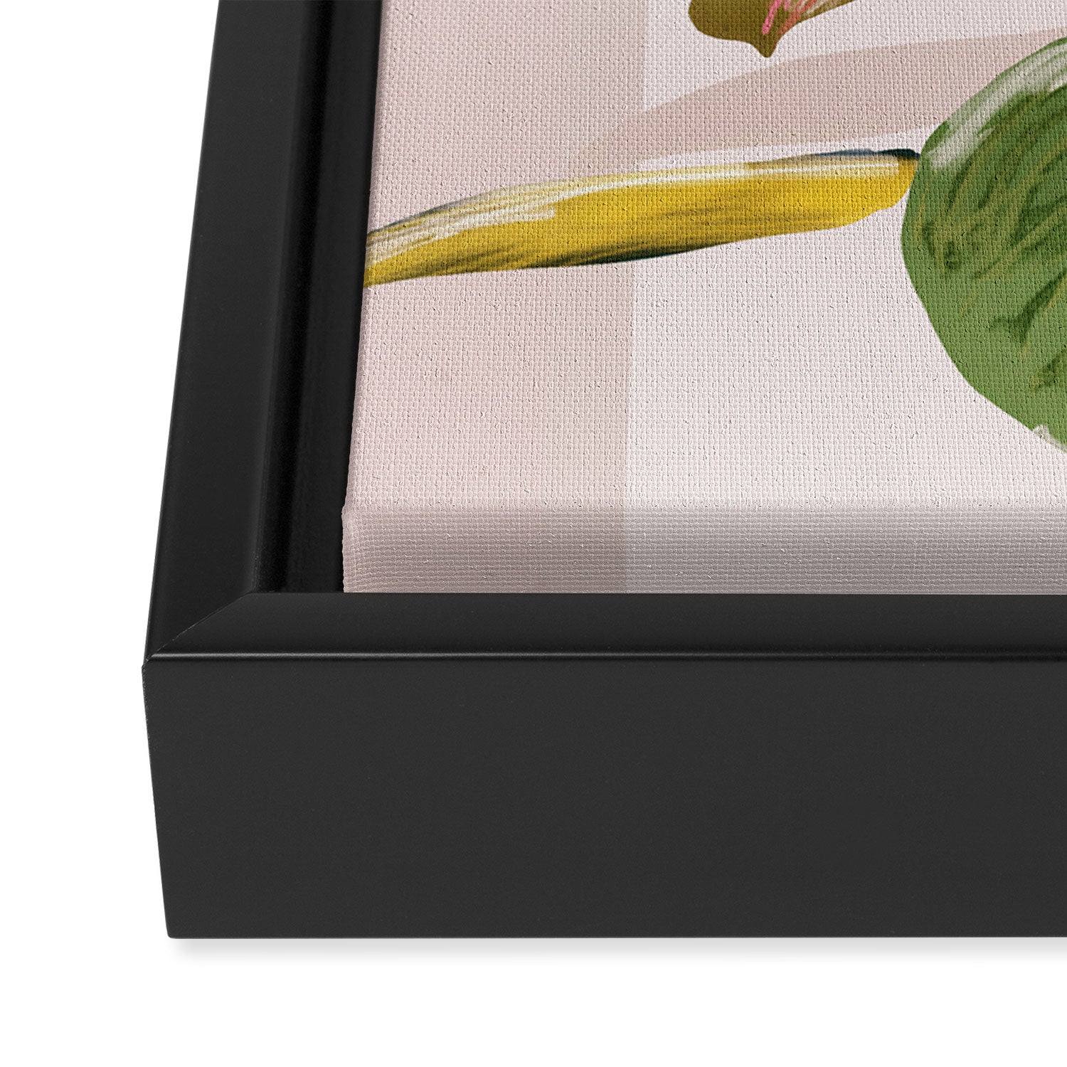 House Plant 6 Framed Canvas Print Gallery Image 3