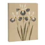 Irises 2 Canvas Print Gallery Image 6
