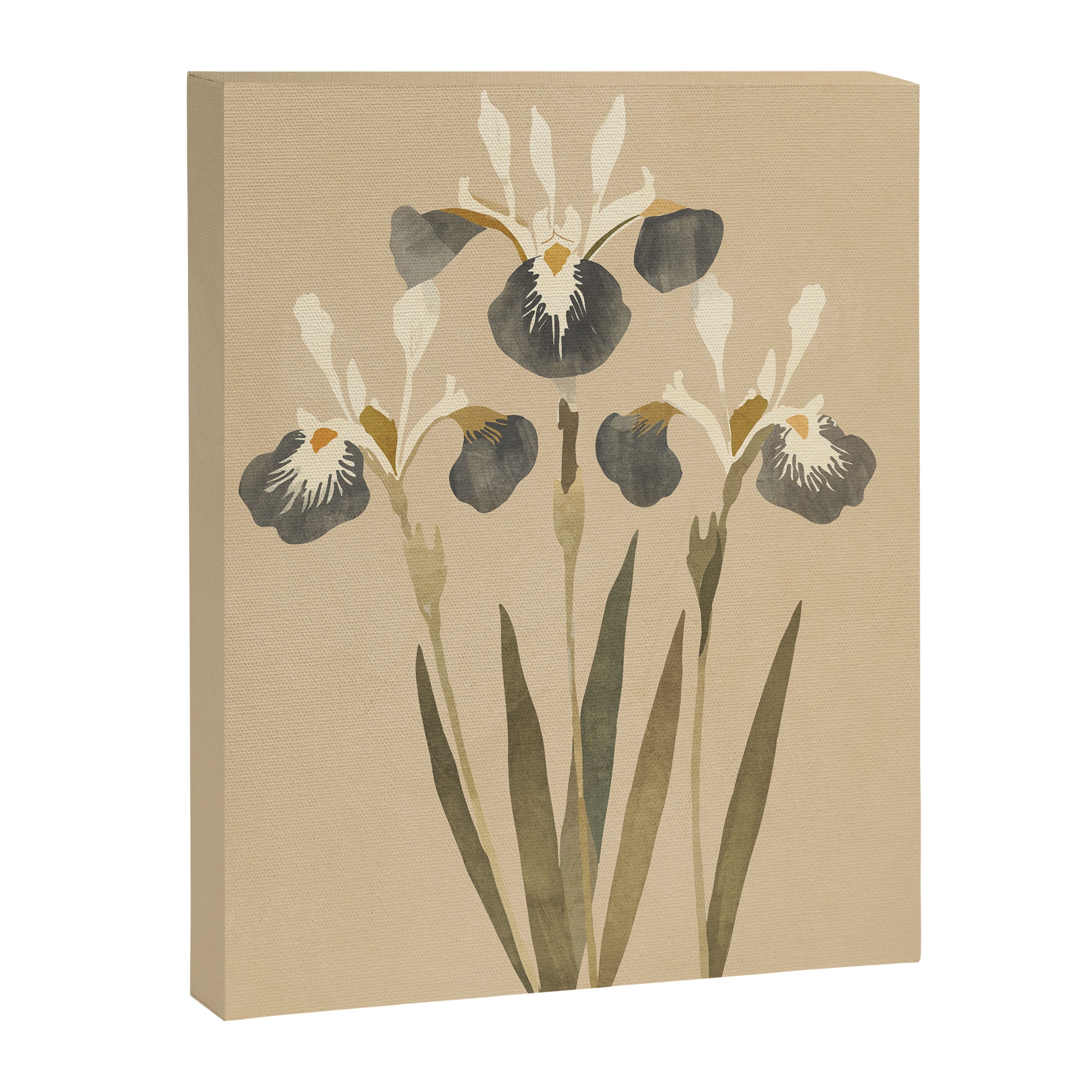 Irises 2 Canvas Print Gallery Image 6