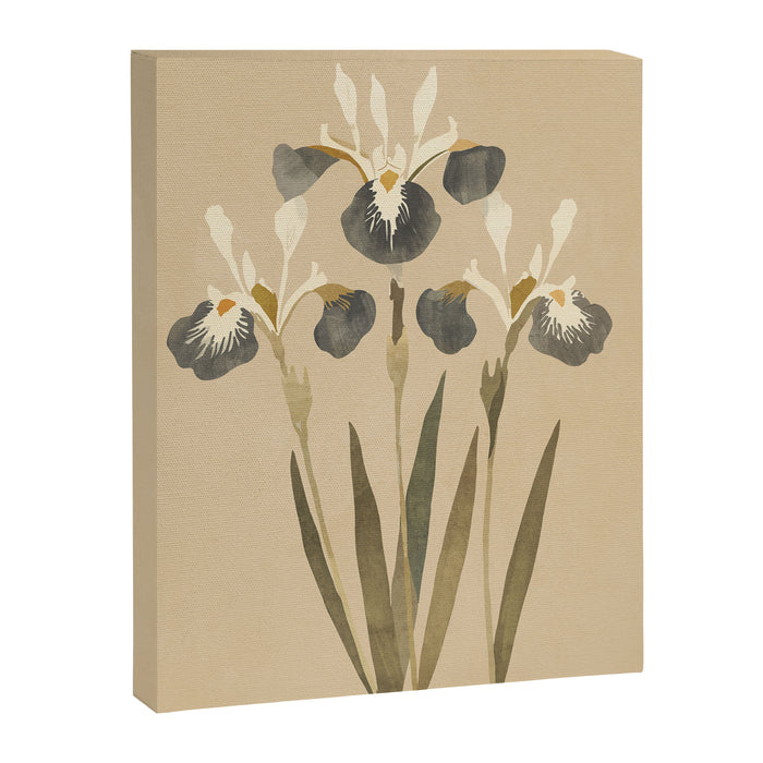 Irises 2 Canvas Print Gallery Image 1