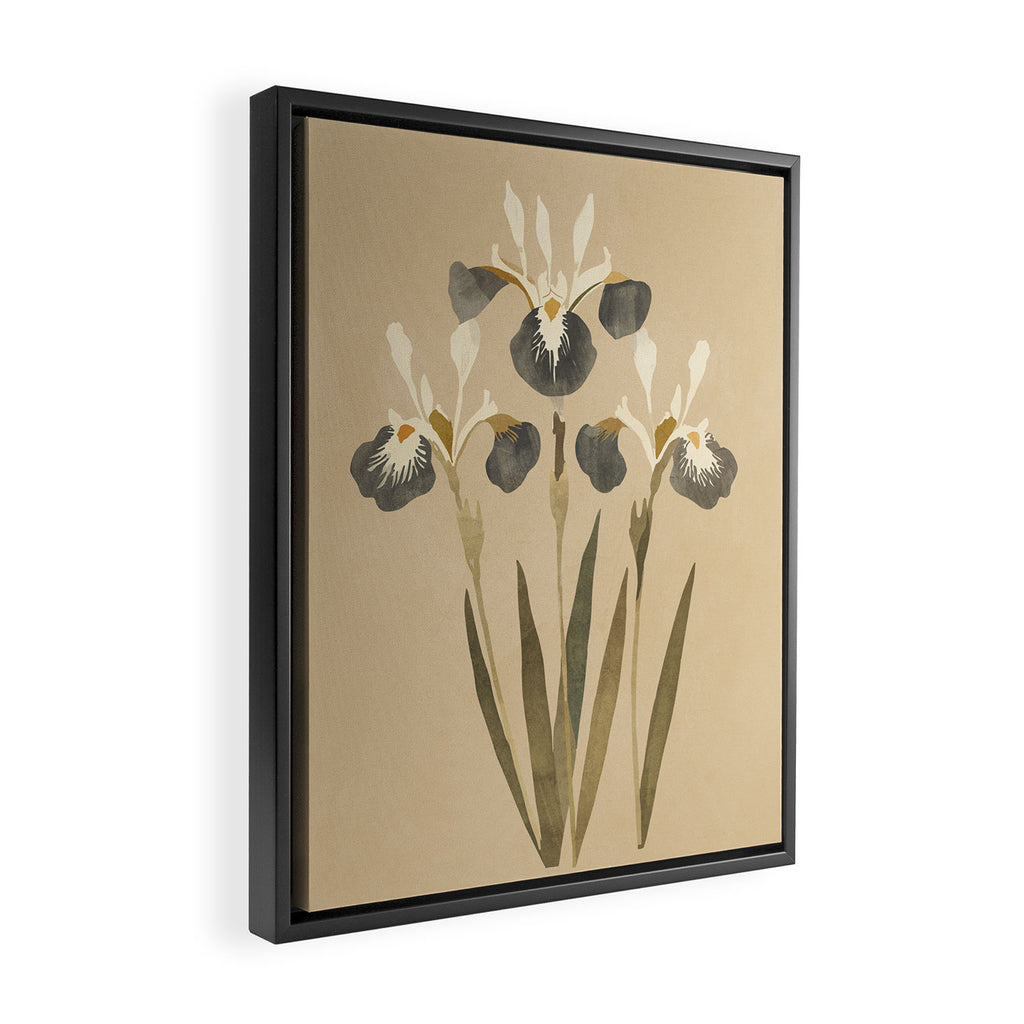 Irises 2 Framed Canvas Print Gallery Image 2