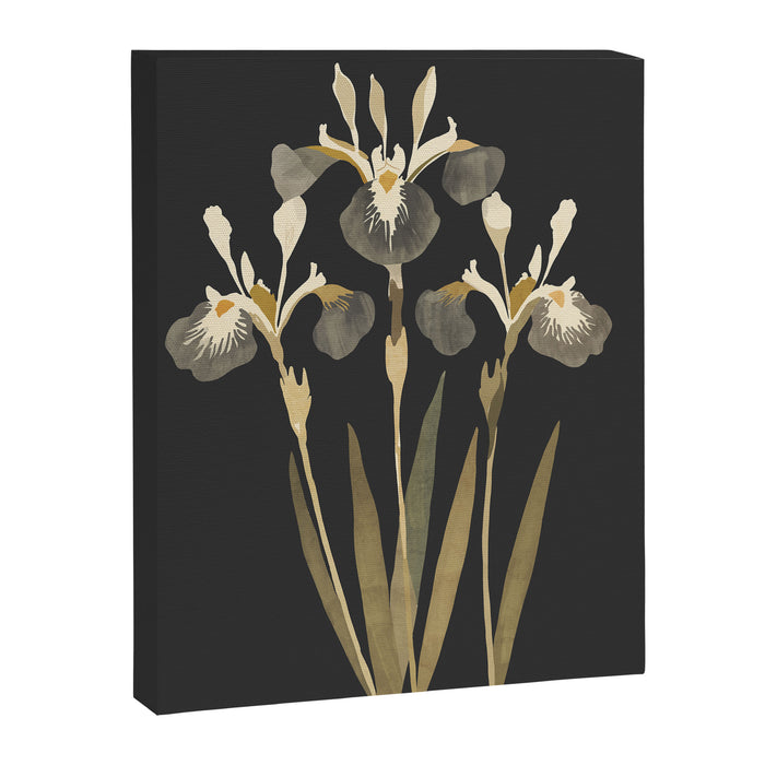 Irises Canvas Print Gallery Image 1