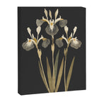 Irises Canvas Print Gallery Image 6