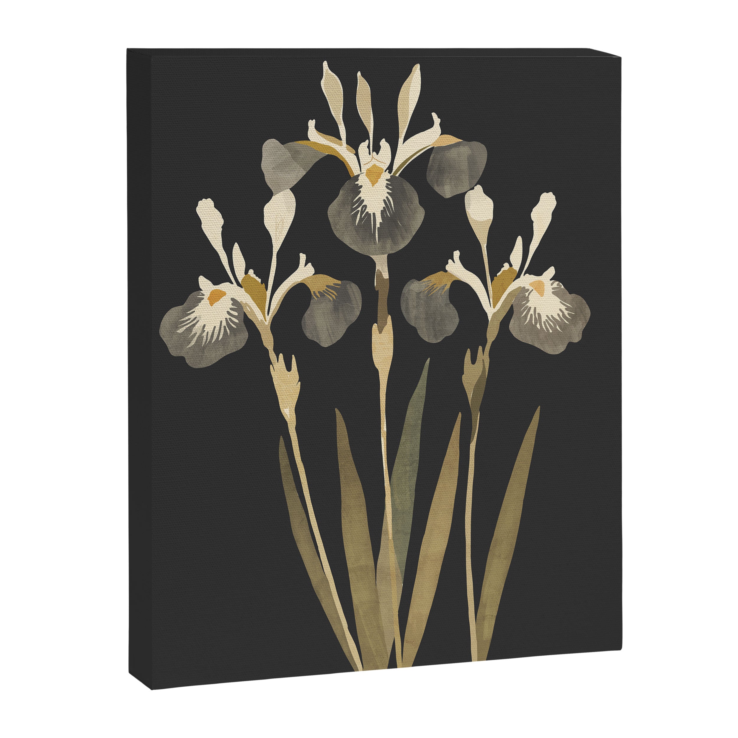 Irises Canvas Print Gallery Image 6