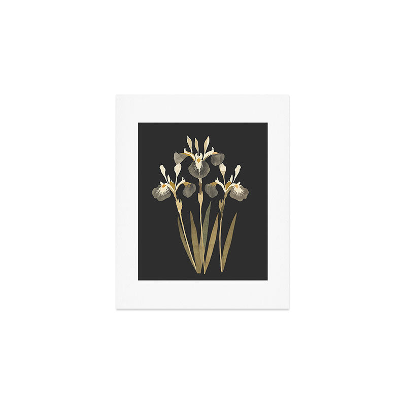 Irises Art Print Gallery Image 1