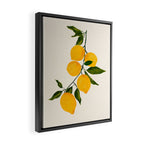 Lemon 3 Framed Canvas Print Gallery Image 2