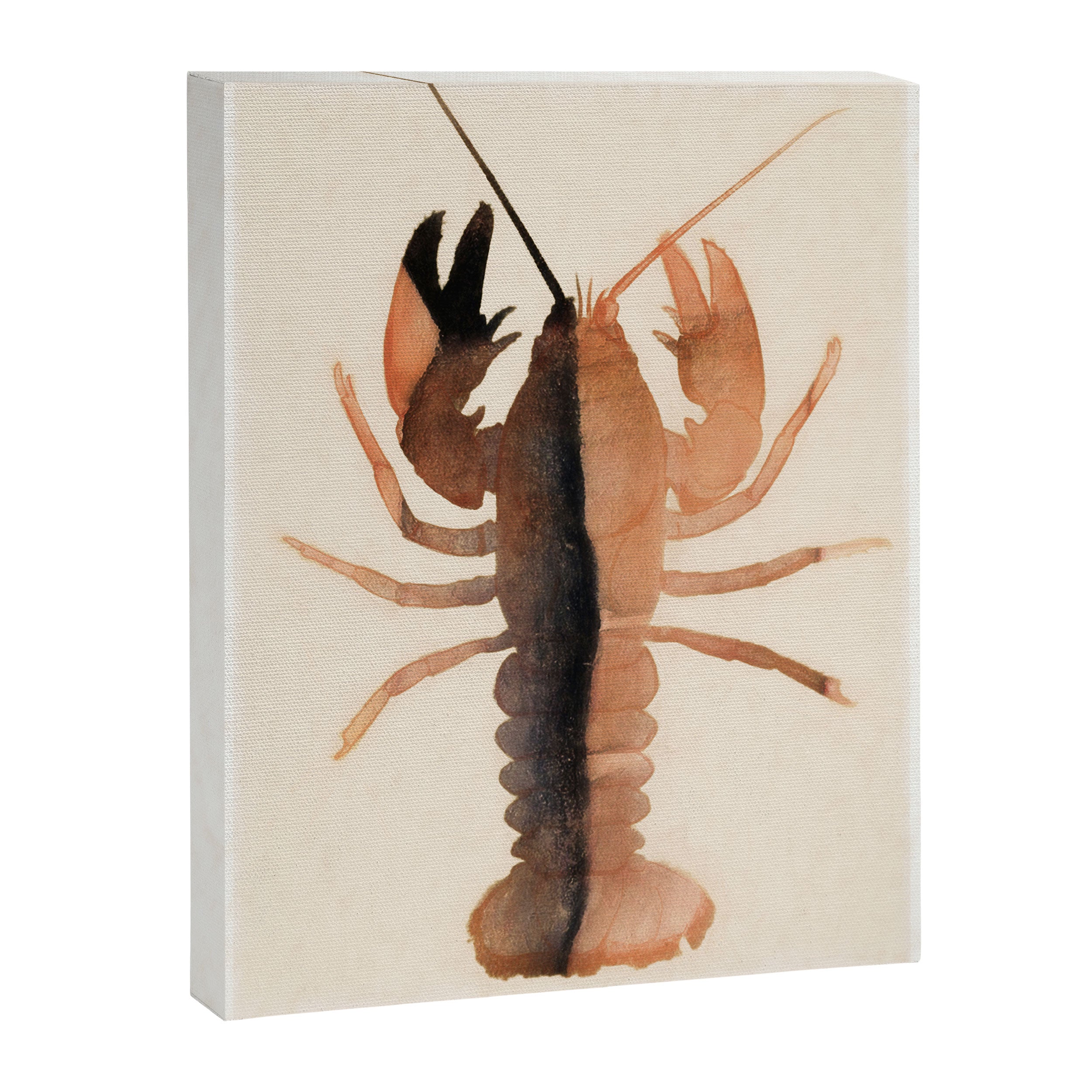 Lobster 7 Canvas Print Gallery Image 6