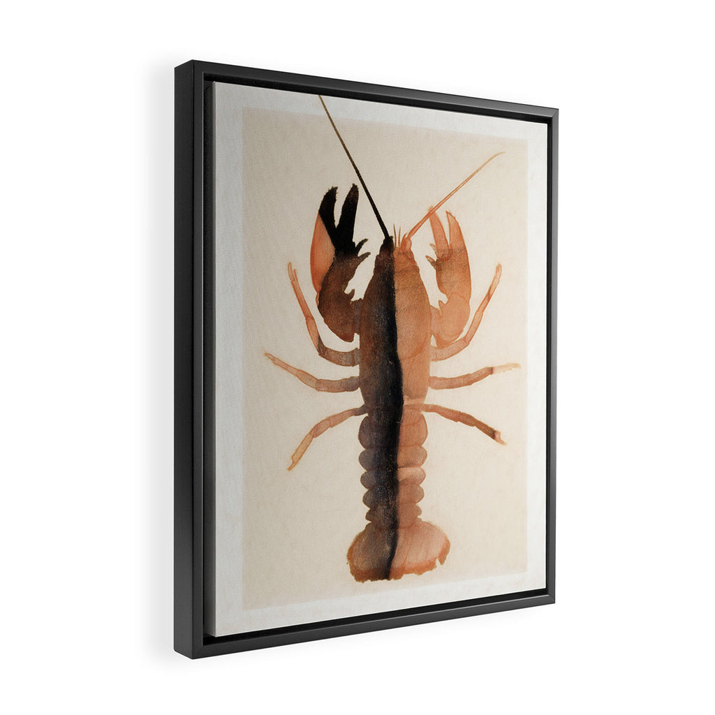 Lobster 7 Framed Canvas Print Gallery Image 2