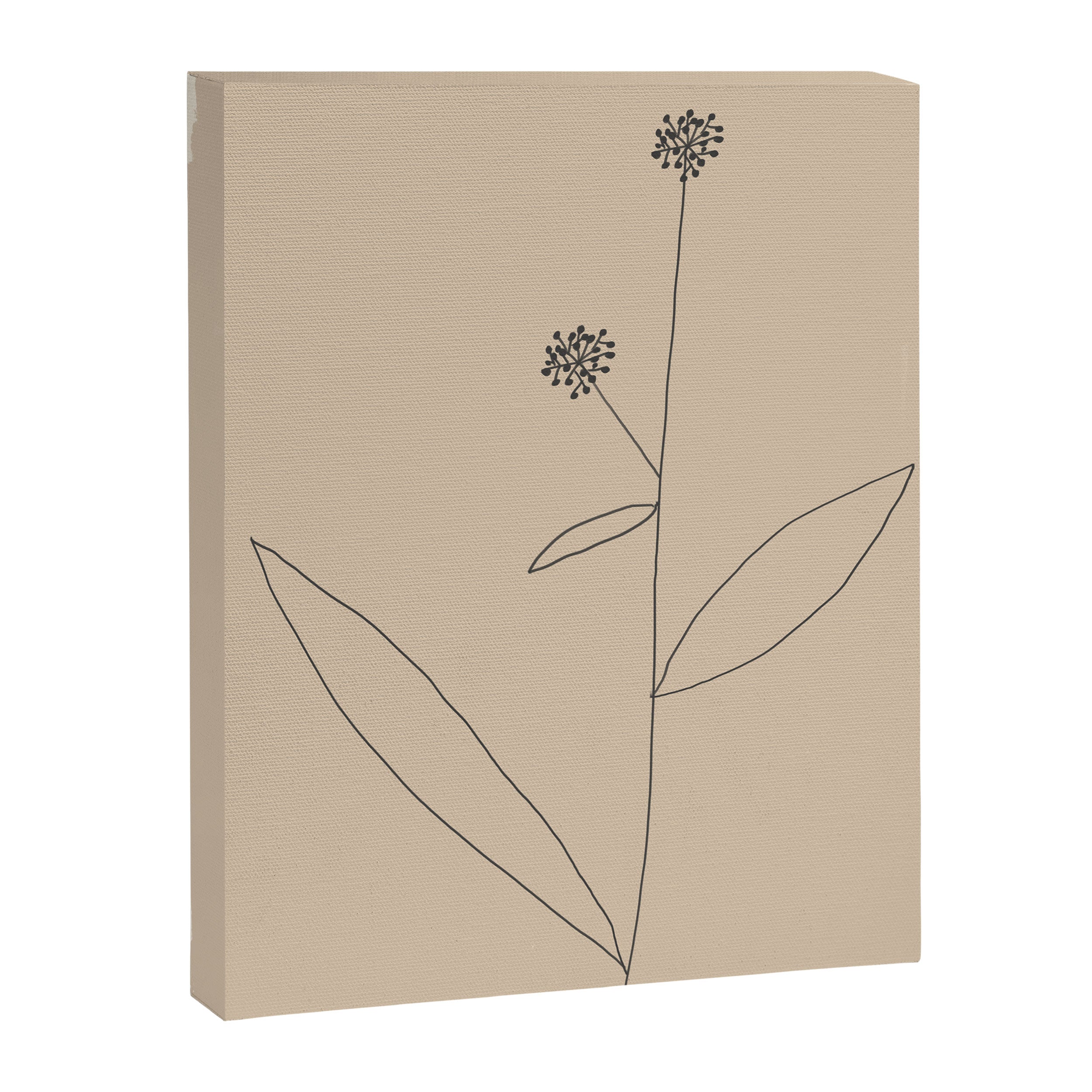 Minimal Abstract Art Plant 38 Canvas Print Gallery Image 6