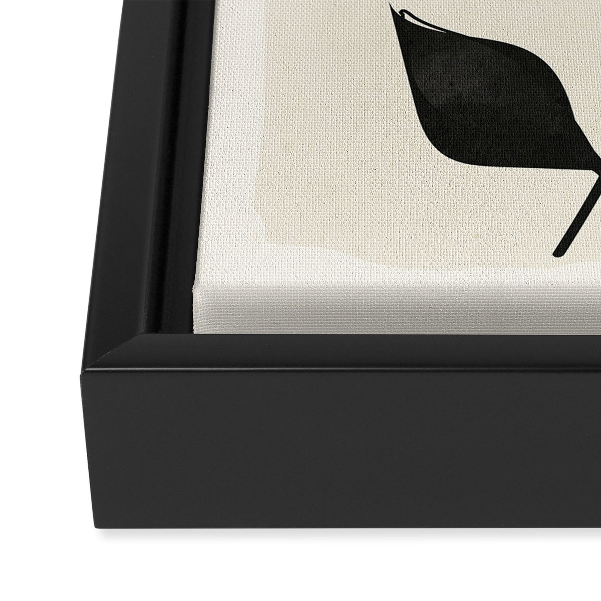 minimal plant 11 Framed Canvas Print Gallery Image 3