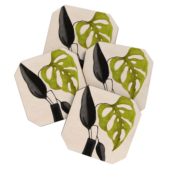 minimal plant 34 Coaster Gallery Image 1