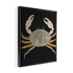 Minimalist Crab 2 Framed Canvas Print Gallery Image 2