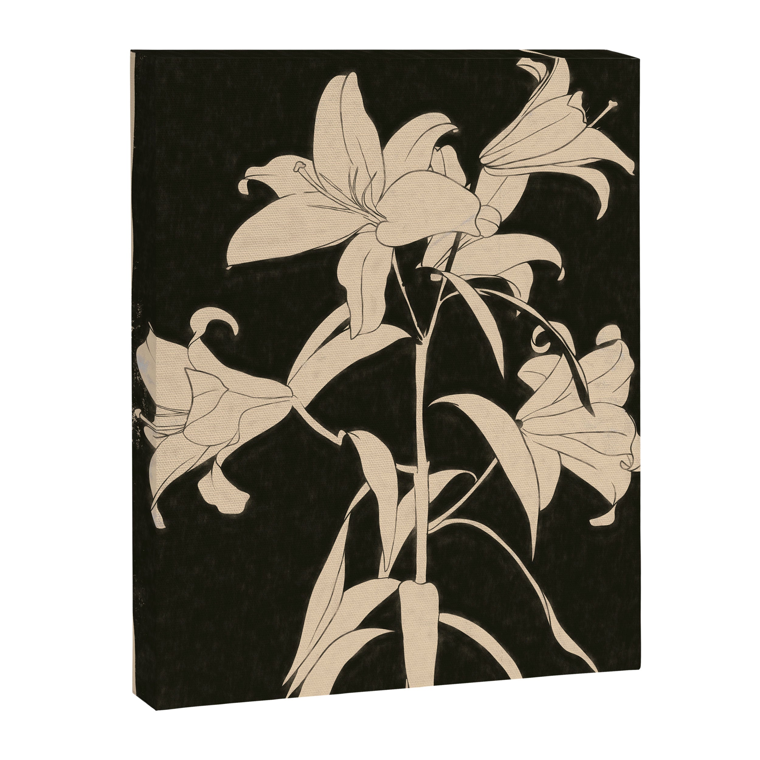 Minimalist Flowers 6 Canvas Print Gallery Image 6