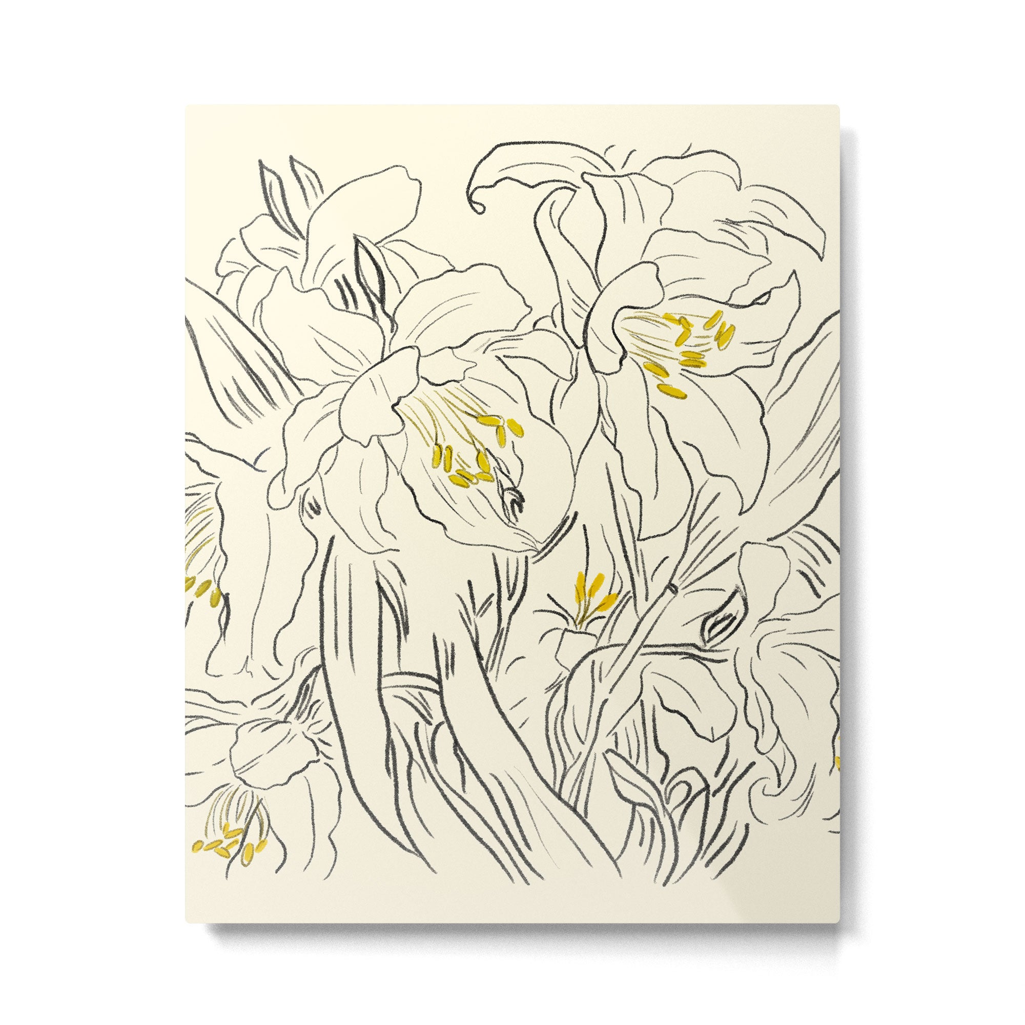 Minimalist Garden flowers Metal Print Gallery Image 6