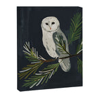Night Owl Canvas Print Gallery Image 6