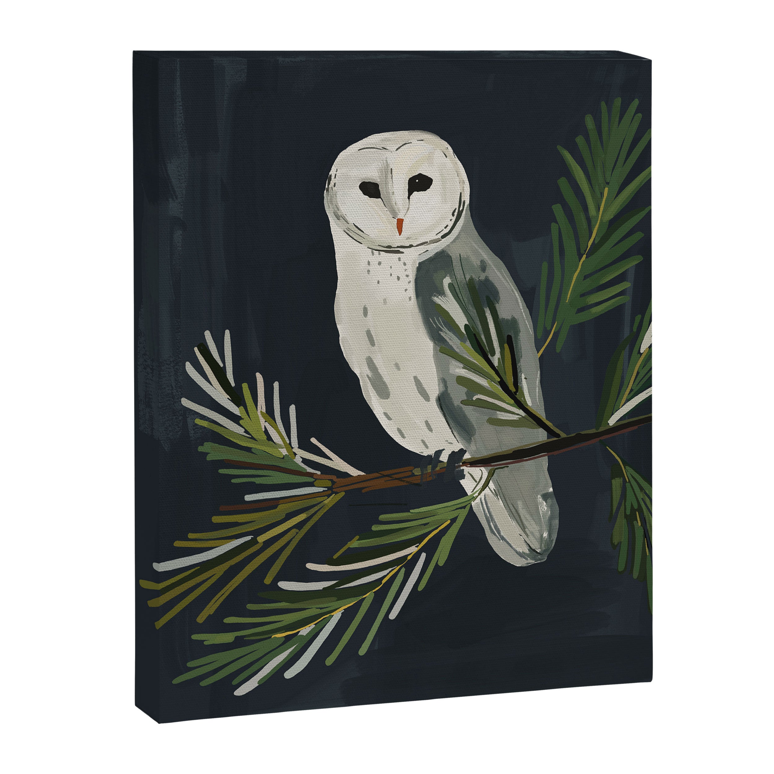 Night Owl Canvas Print Gallery Image 6