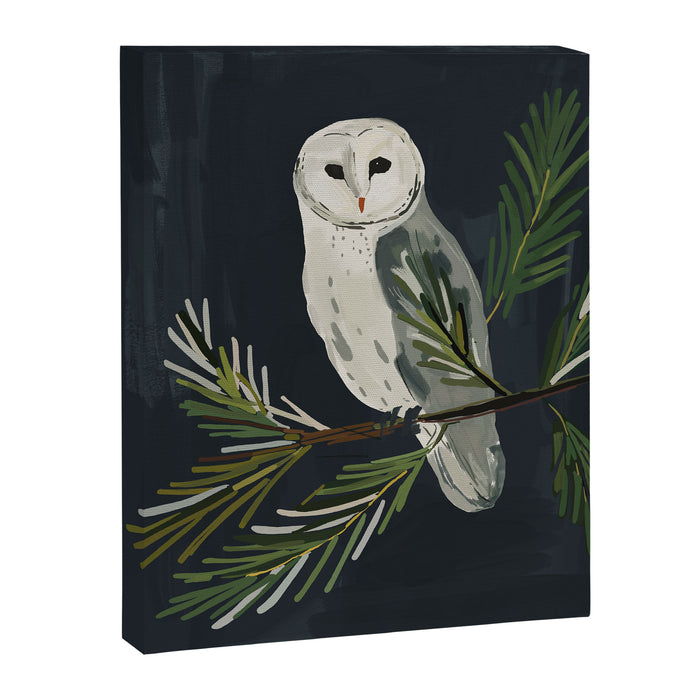 Night Owl Canvas Print Gallery Image 1
