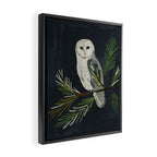 Night Owl Framed Canvas Print Gallery Image 2