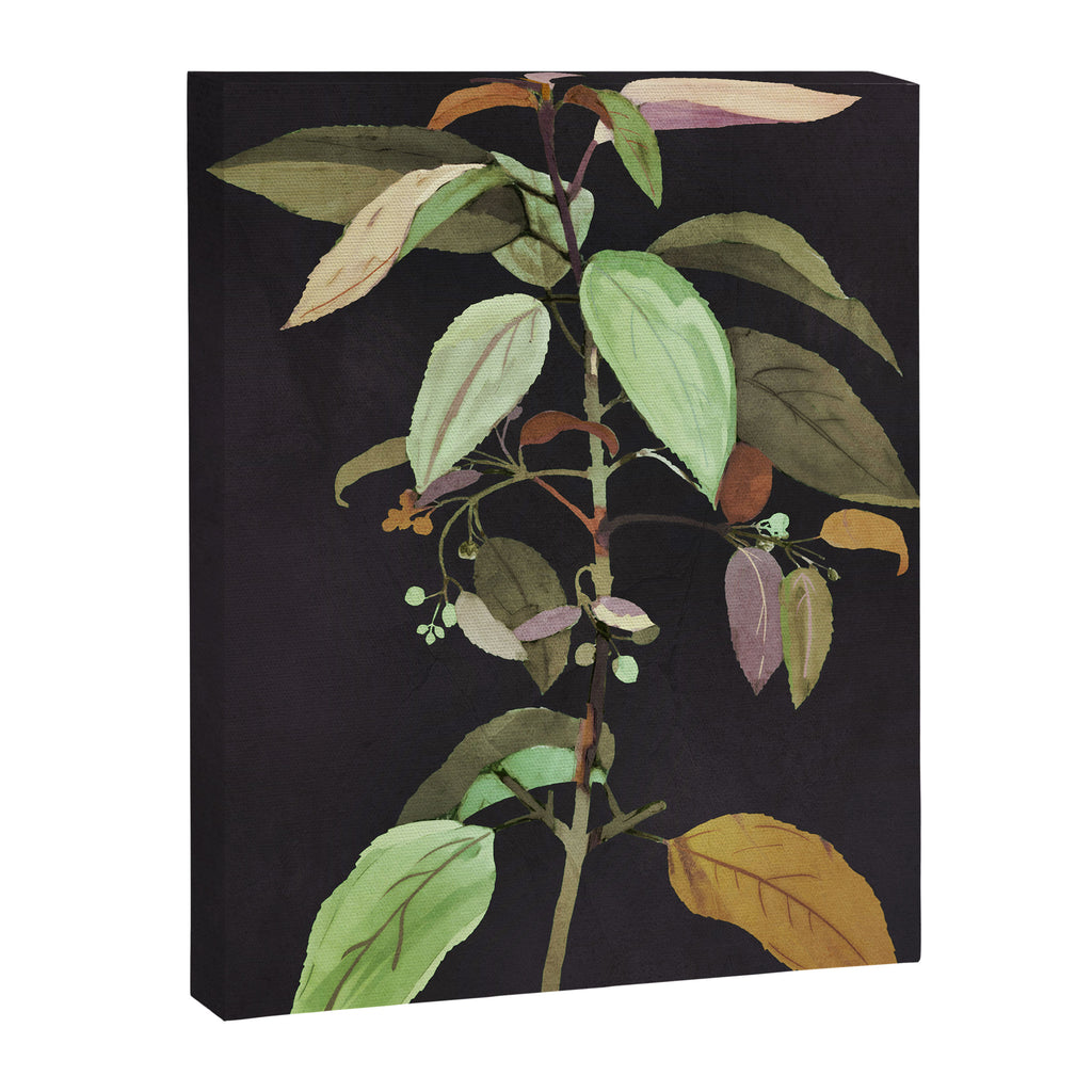 Night Plant Canvas Print Gallery Image 6