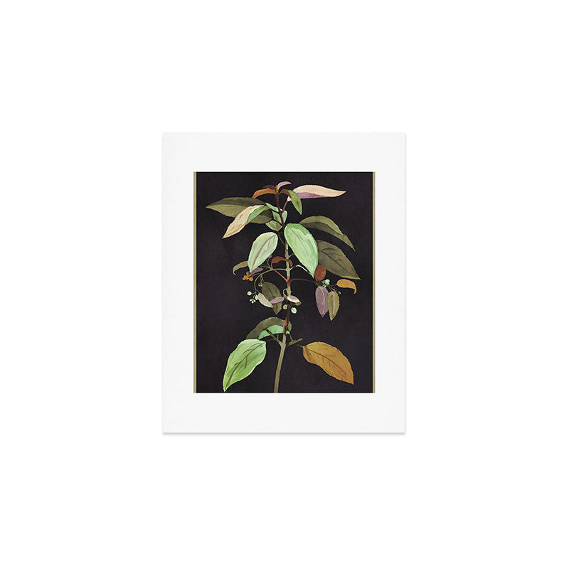 Night Plant Art Print Gallery Image 1