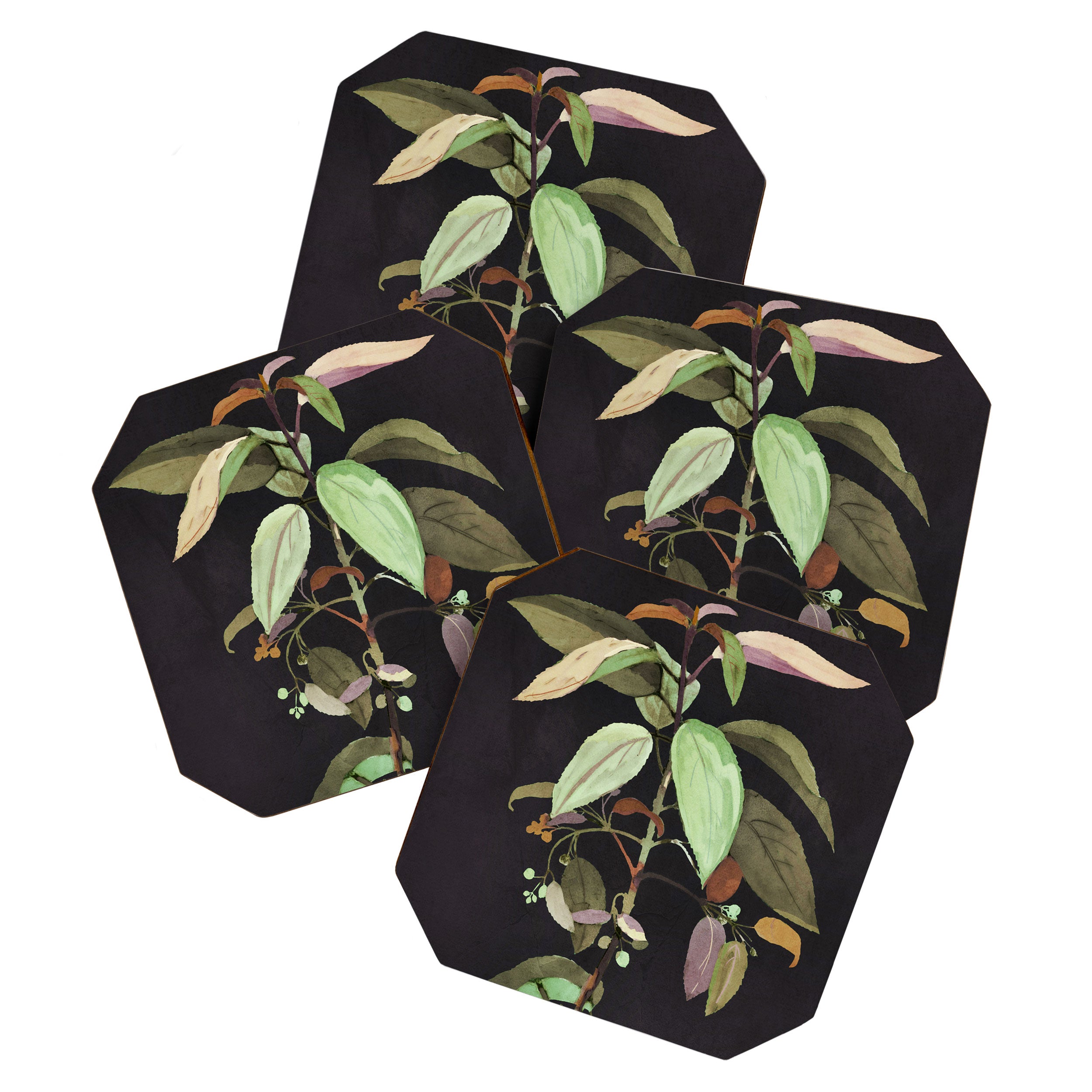Night Plant Coaster Gallery Image 1