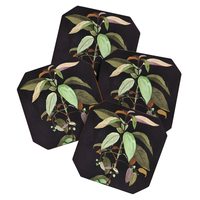 Night Plant Coaster Gallery Image 1