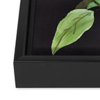 Night Plant Framed Canvas Print Gallery Image 3