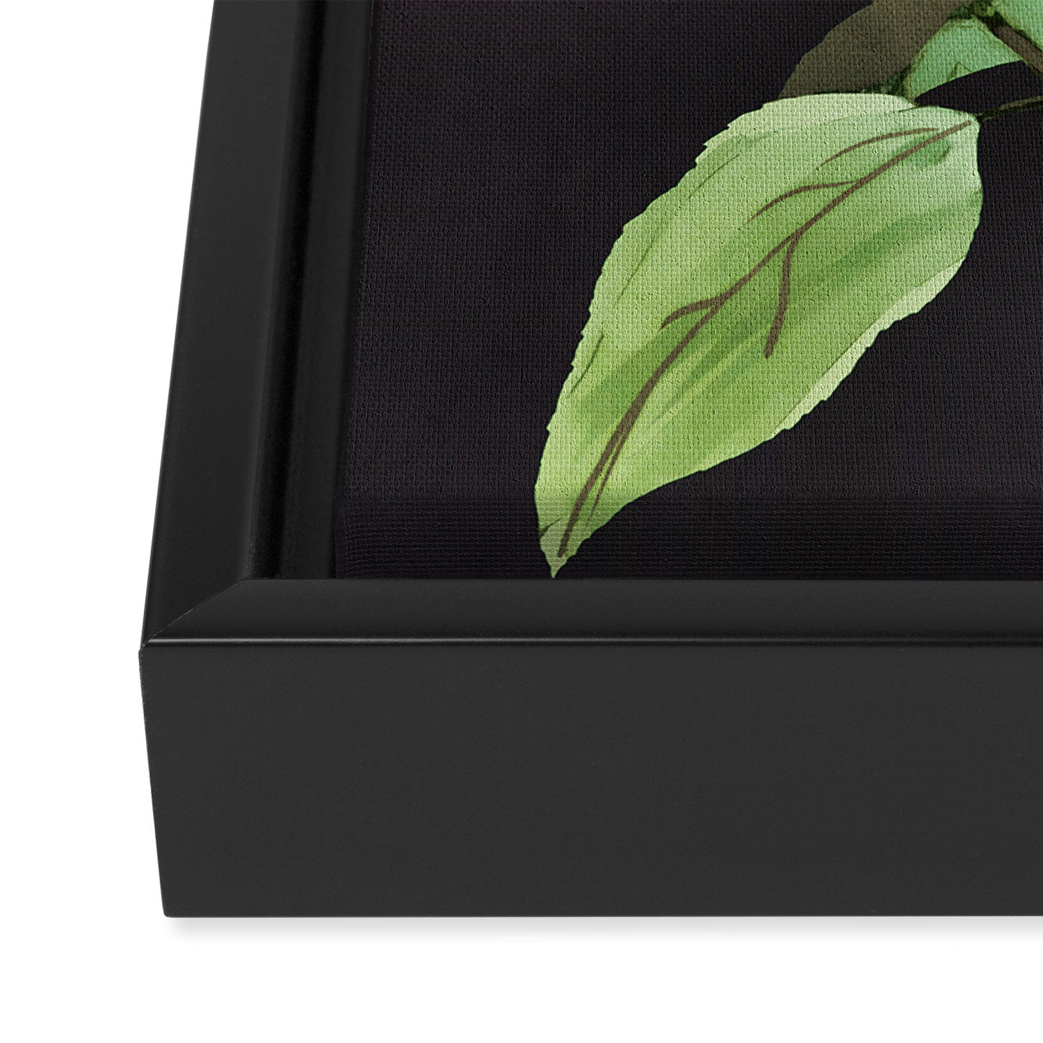 Night Plant Framed Canvas Print Gallery Image 3