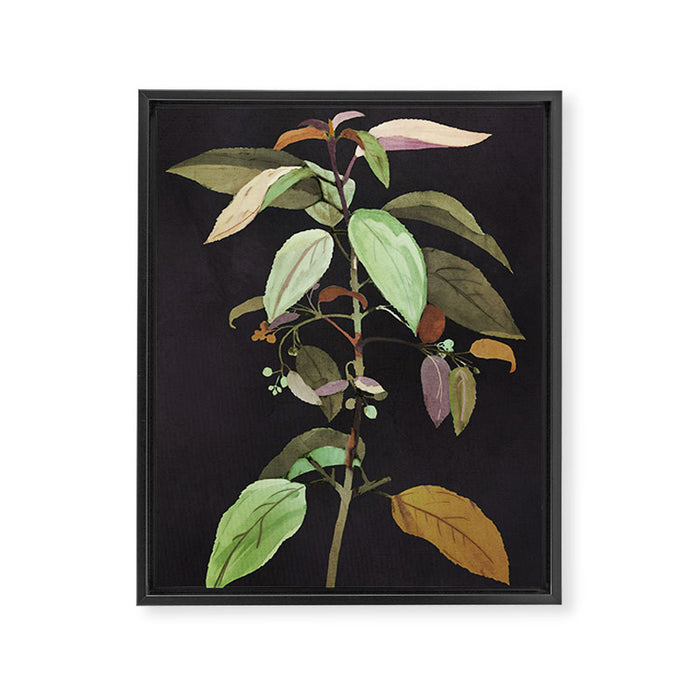 Night Plant Framed Canvas Print Gallery Image 1