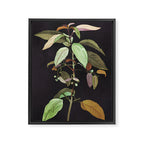 Night Plant Framed Canvas Print Gallery Image 6