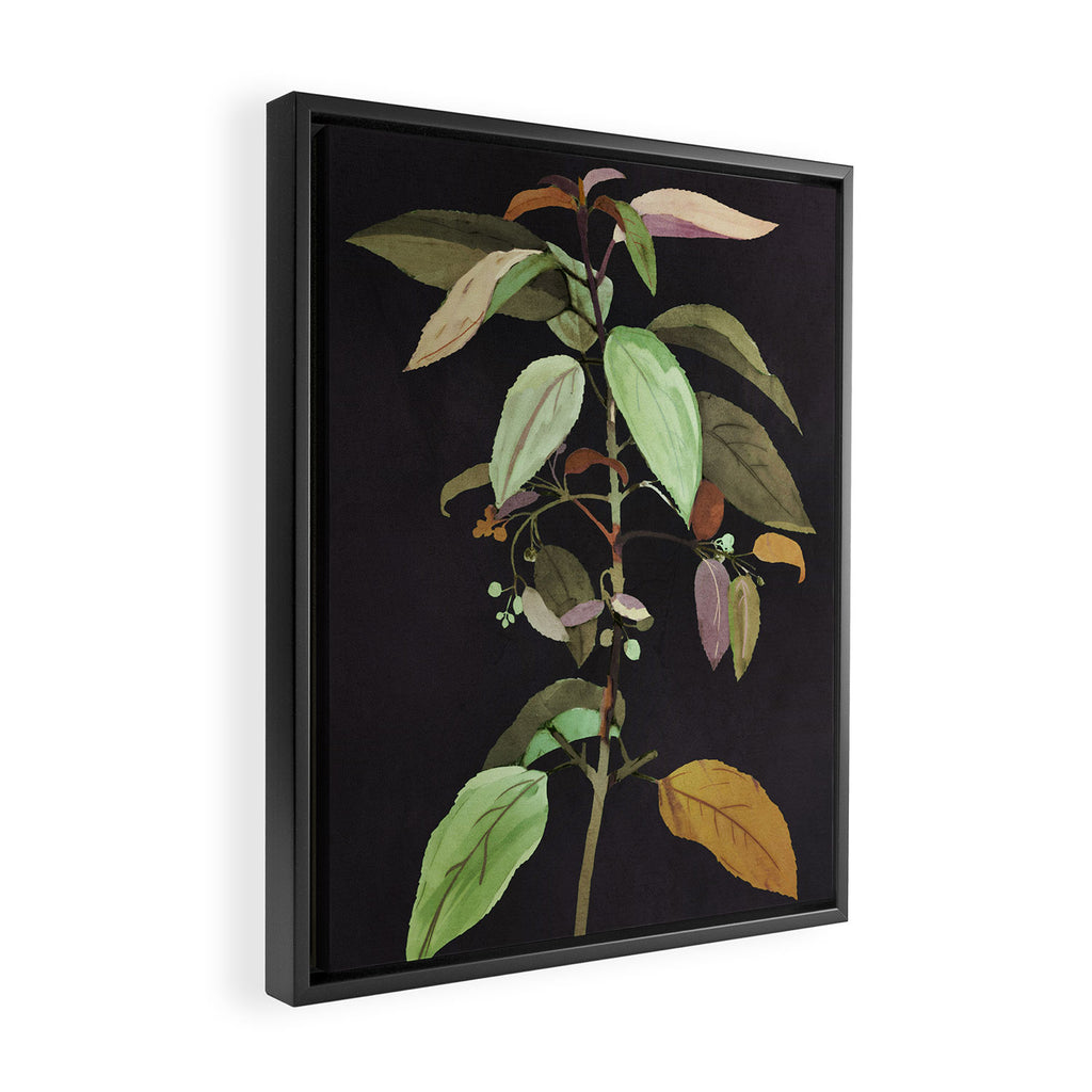Night Plant Framed Canvas Print Gallery Image 2