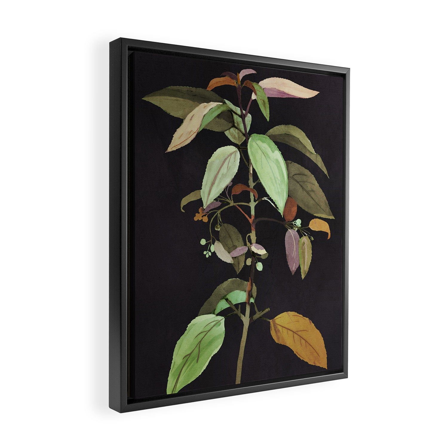 Night Plant Framed Canvas Print Gallery Image 2