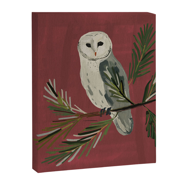Owl on a Pine Branch Canvas Print Gallery Image 1