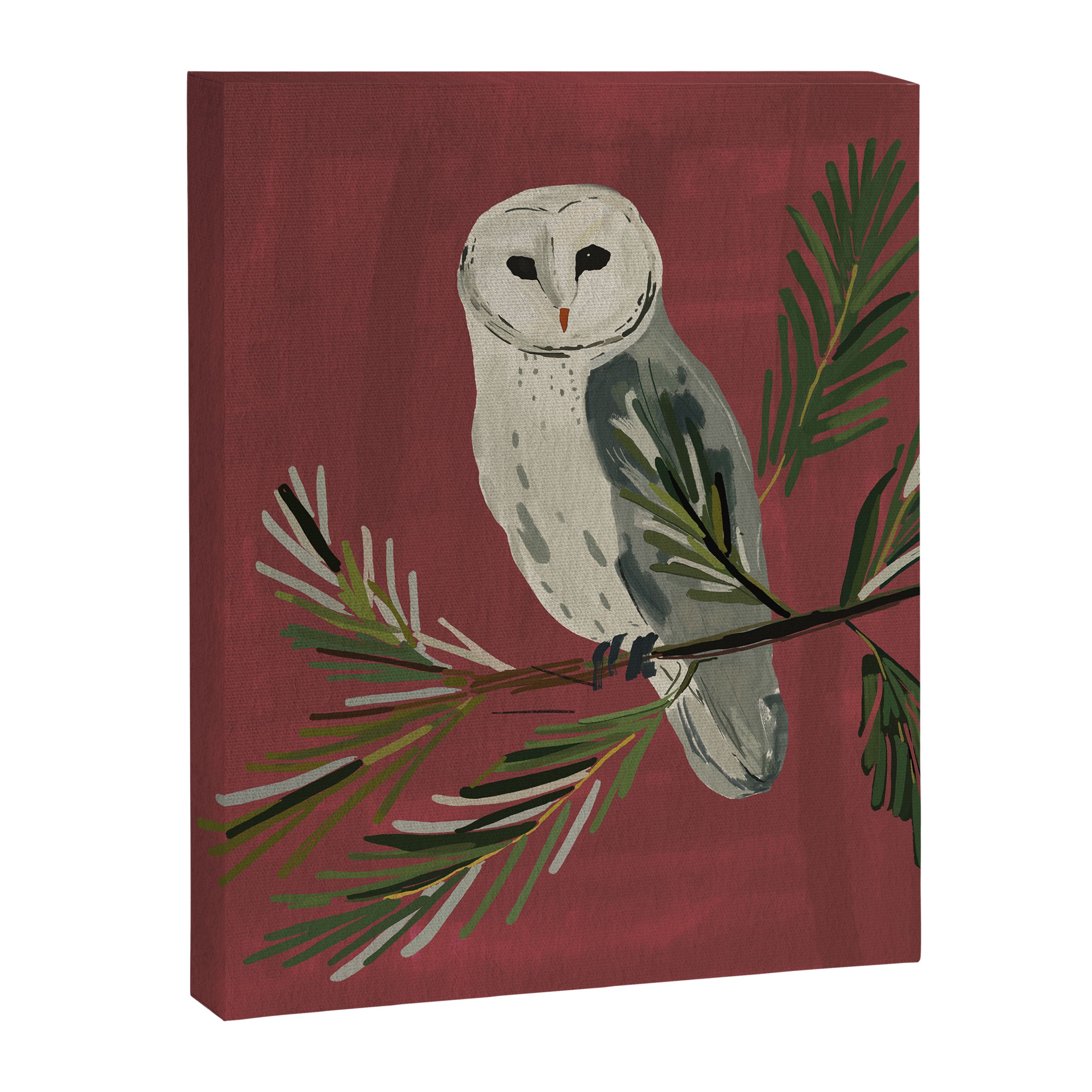 Owl on a Pine Branch Canvas Print Gallery Image 6