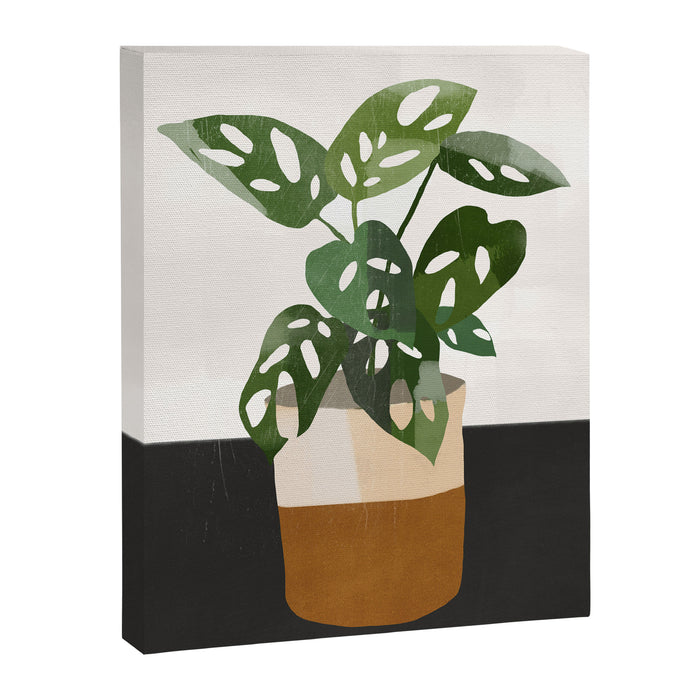 Plant 11 Canvas Print Gallery Image 1