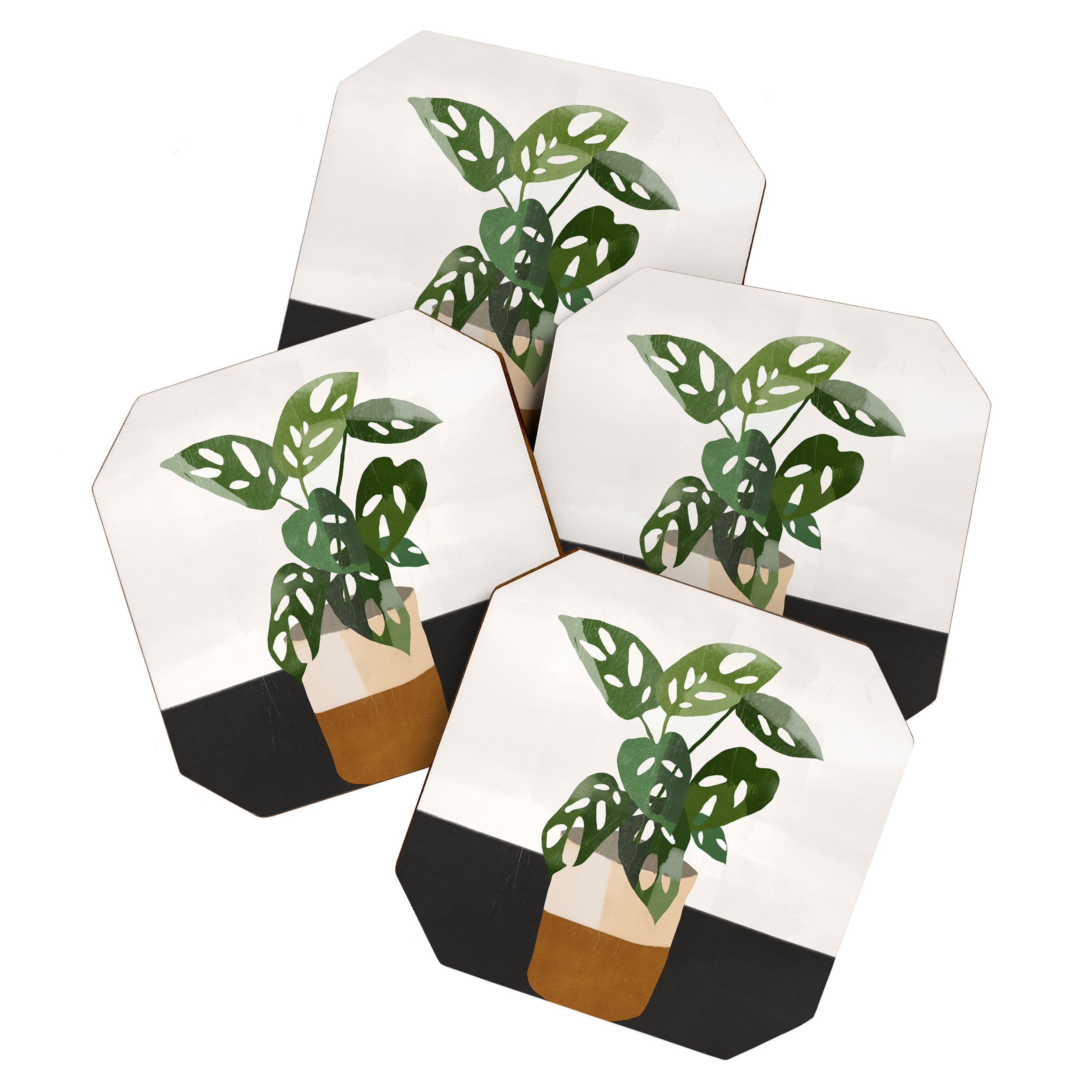 Plant 11 Coaster Gallery Image 1
