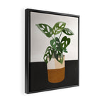 Plant 11 Framed Canvas Print Gallery Image 2
