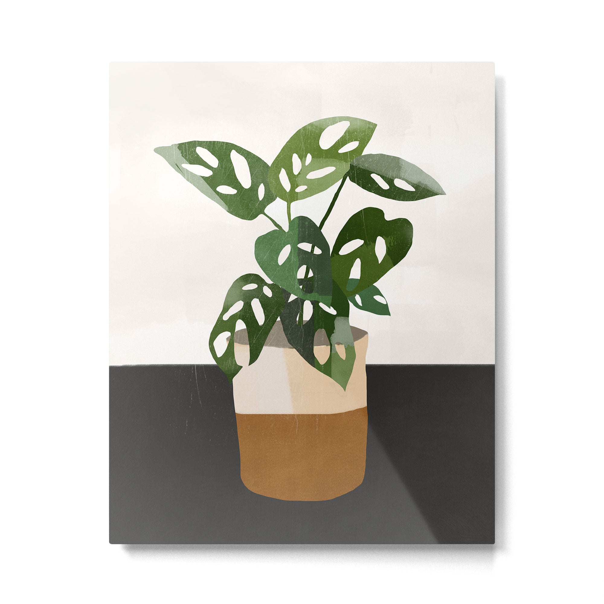 Plant 11 Metal Print Gallery Image 4
