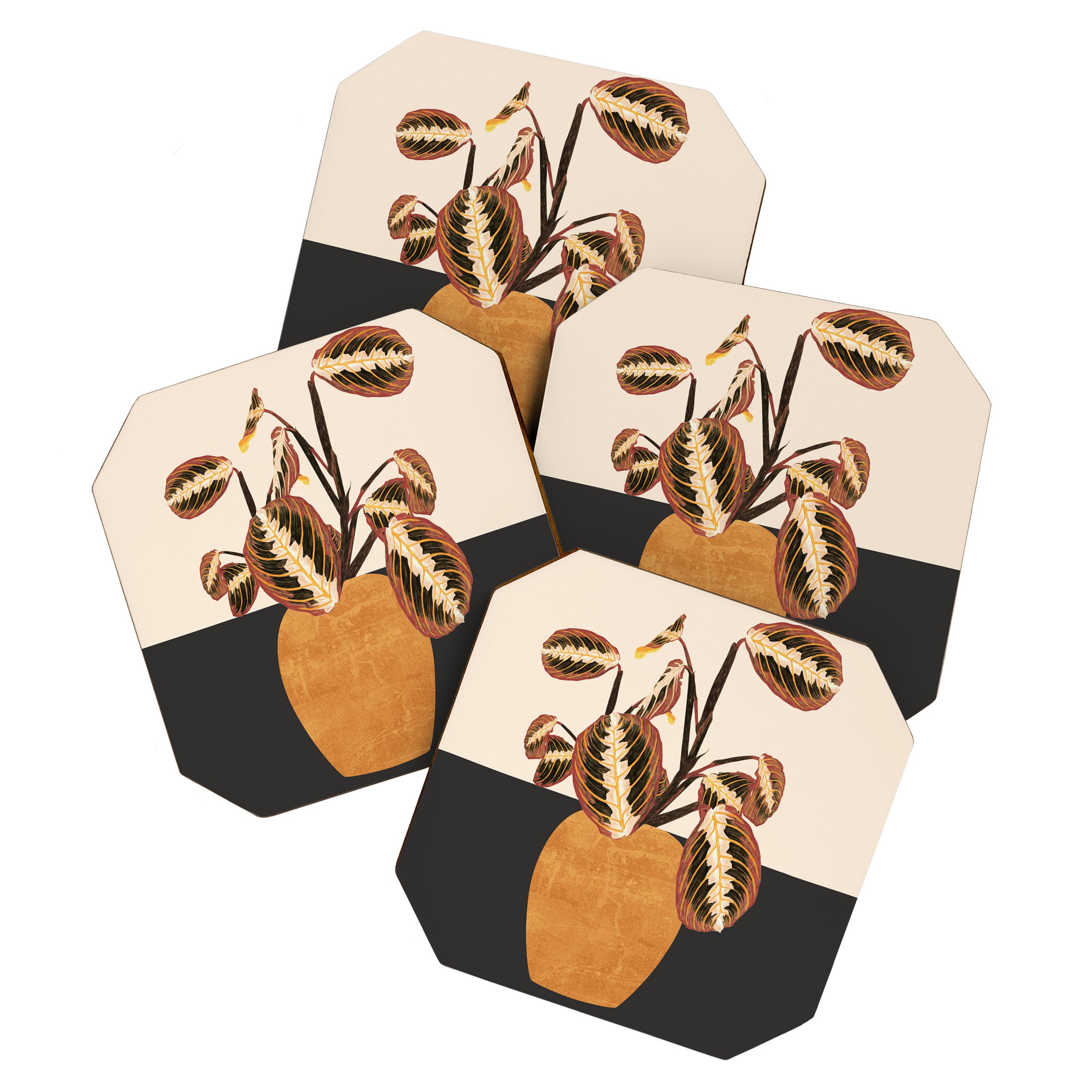 Plant 12 Coaster Gallery Image 1
